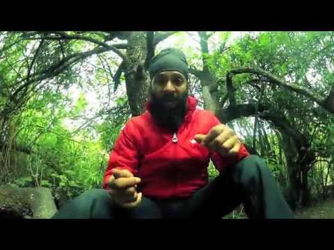 Fidel - Lo Verde (video oficial)