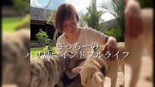 快適すぎるゲストハウス|ウブドの暮らしってこんな感じです
