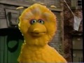 Sesame Street 3884 Big Bird Loses Radar