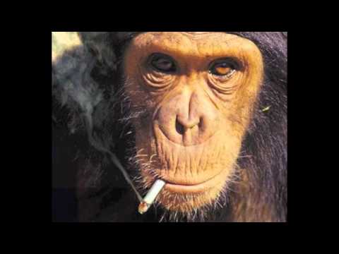 Young Sin - Feng shui ft. Snak The Ripper