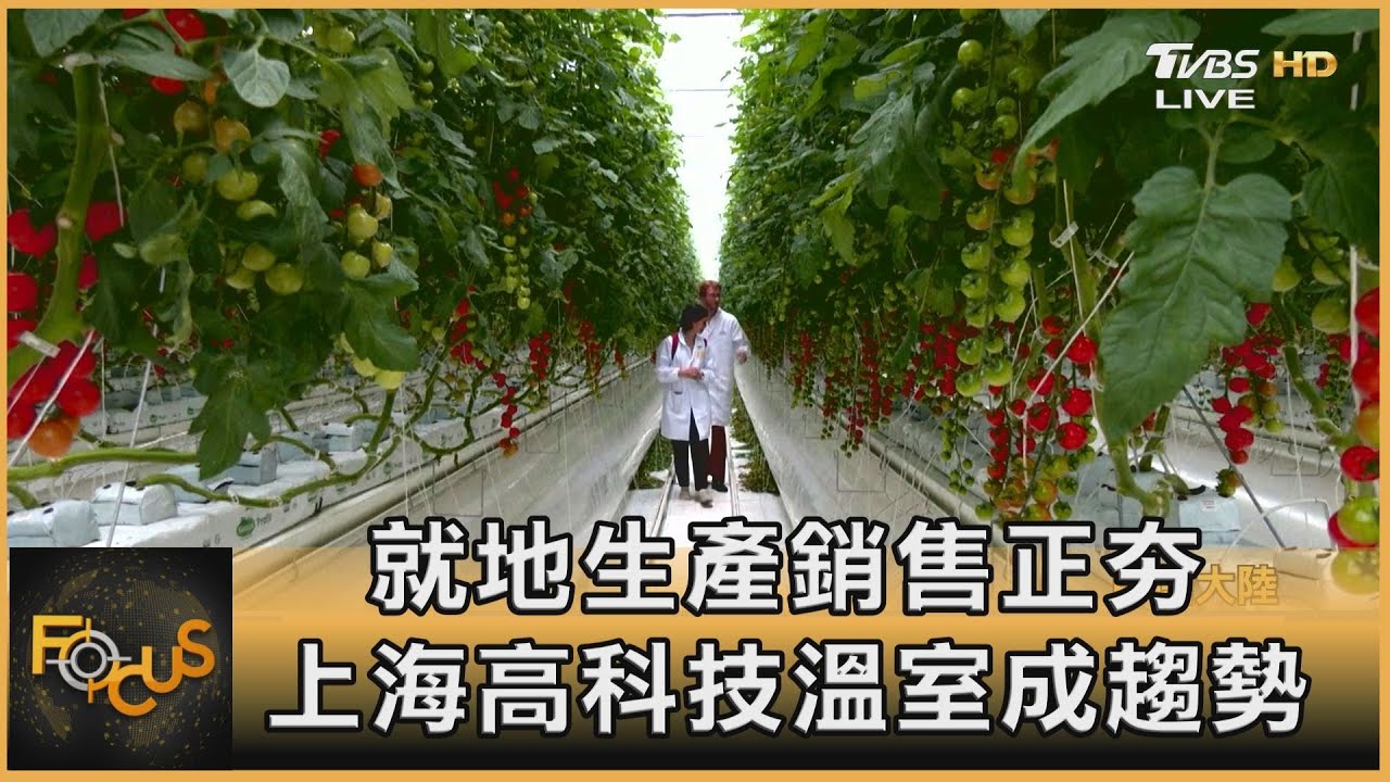就地生產銷售正夯 上海高科技溫室成趨勢