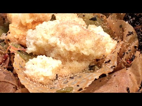 Overnight with the mites time-lapse - worm farm vermicomposting