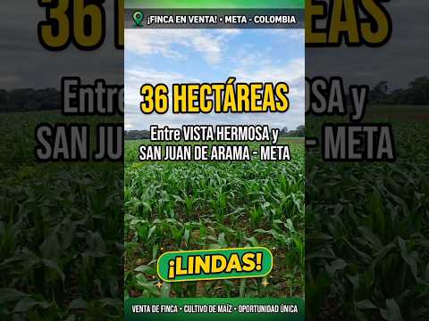 36 hectáreas entre Vista hermosa y san juan de arama, #finca agroganadera #fincallanos #realestate