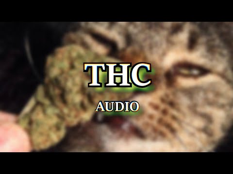 So Sama - THC Featuring D.O.M