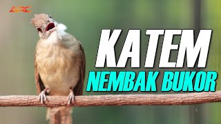 MASTERAN KAPAS TEMBAK GACOR SUPER NGEBREN