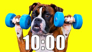 Thumbnail