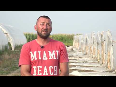 Naša priča ep. 152 20.07.2018. - Pećinci, proizvodnja babure