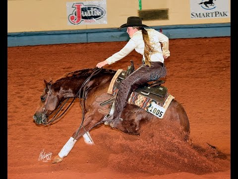 SKEETS WHIZARD & AMY STONEY 219.5, 3rd Place, 2015 AQHYA World Show Reining FINALS