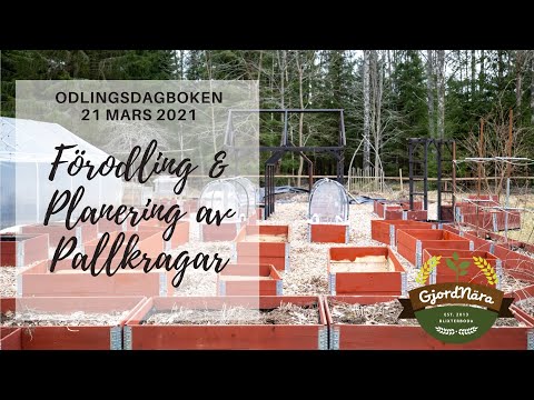 Förodling och nytt pallkrageområde - Odlingsdagboken 2021-03-21