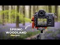 A Sea of Bluebells! Spring Woodland Photography Vlog
