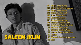 Download lagu Full Album Saleem Iklim Malaysia - Lagu Malaysia Lama Populer mp3