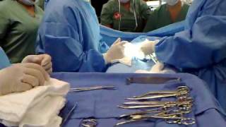 c section part 5 instruments setup class