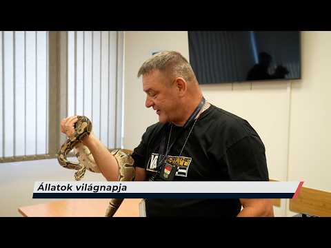 Híradó – 2026.10.02. – Péntek - Sopron TV