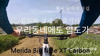 우리동에도 싱글,임도있어요~