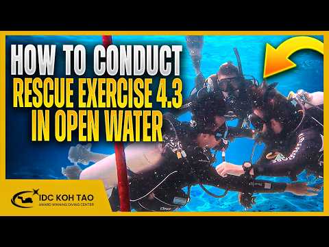 How to Conduct Rescue Exercise 4.3 in Open Water | Distressed Diver Underwater - Out of Air 🤿