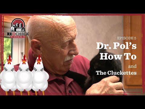 Dr. Pol Presents Recheck Episode 5: Dr. Pol's How To & The Cluckettes