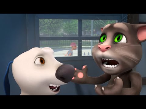 Troubled Couples | Talking Tom Shorts | Cartoons for Kids | WildBrain Zoo