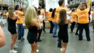 preview picture of video 'IKEA Flash Mob - Hicksville, NY'