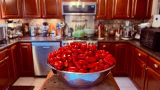 Sauce, Skins & San Marzanos: Tomato Tuesday | Prep Behind the Scenes