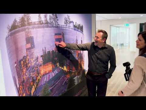 IMCD Global Managed Services Success Story