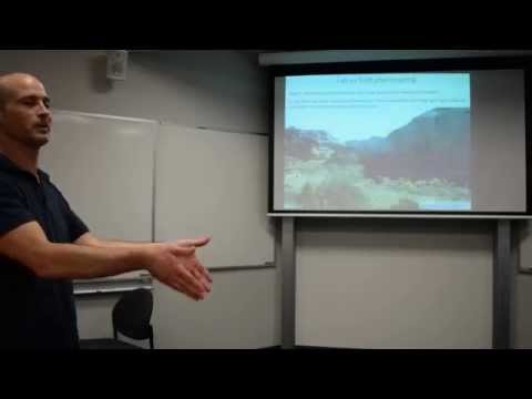 Scaling seeds to ecosystems