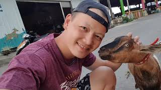 【潛水】綠島》 救援潛水》Rescue Diver