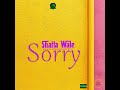 Shatta Wale Sorry Audio Slide