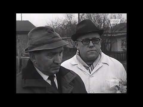 rbb Retro - Berliner Abendschau: Zentrum für Spastiker in Berlin-Lichterfelde 16.12.1965