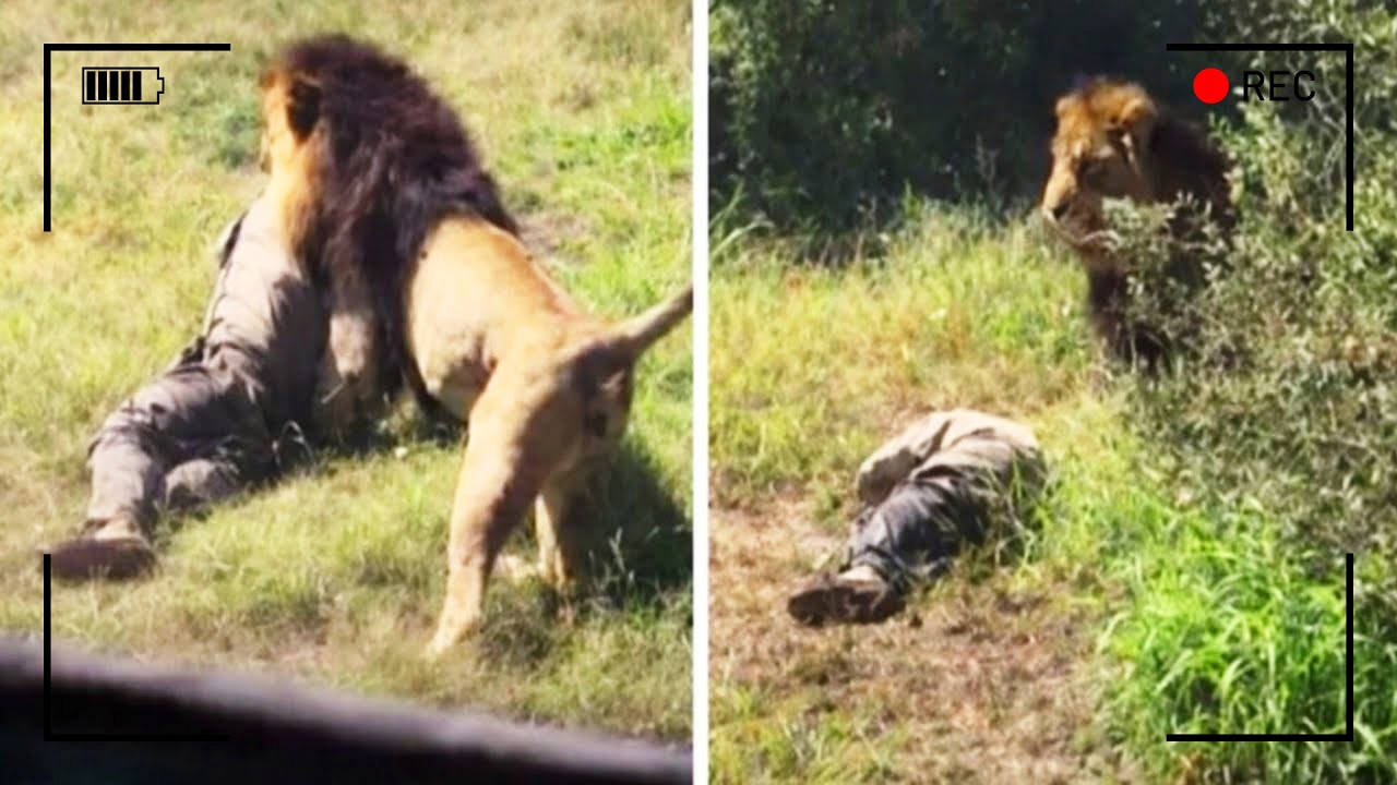 لن تصدق ما حدث لهؤلاء أمام الحيوانات البرية!