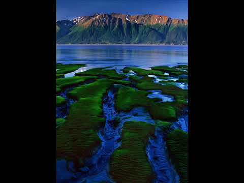 CHRIS GILBEY -- MOONLIGHT LADY 1980 reggae