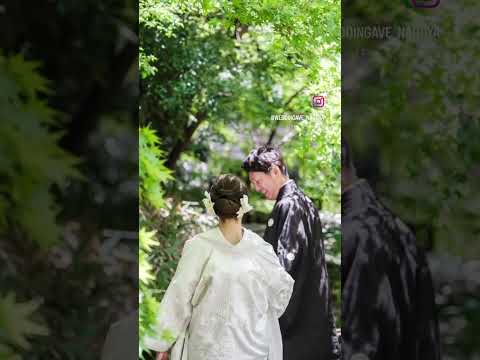 piscine enterrée rectangulaire-longue-étroite-couloir-nage-couverture-automatique