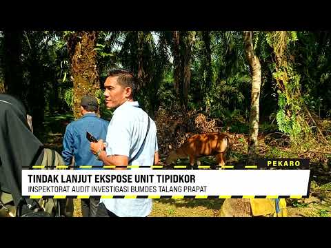 Inspektorat Audit Investigasi Bumdes Talang Prapat 