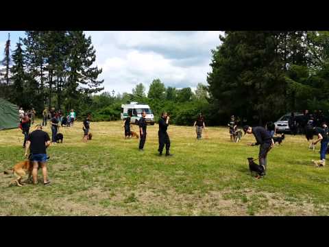 Den Policie 2014 Ostrava