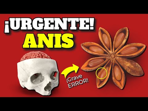 SUPER REVELATIONS!: The RISKS and BENEFITS of STAR ANISE | THE FRUIT OF GRO DOES IT WORK?