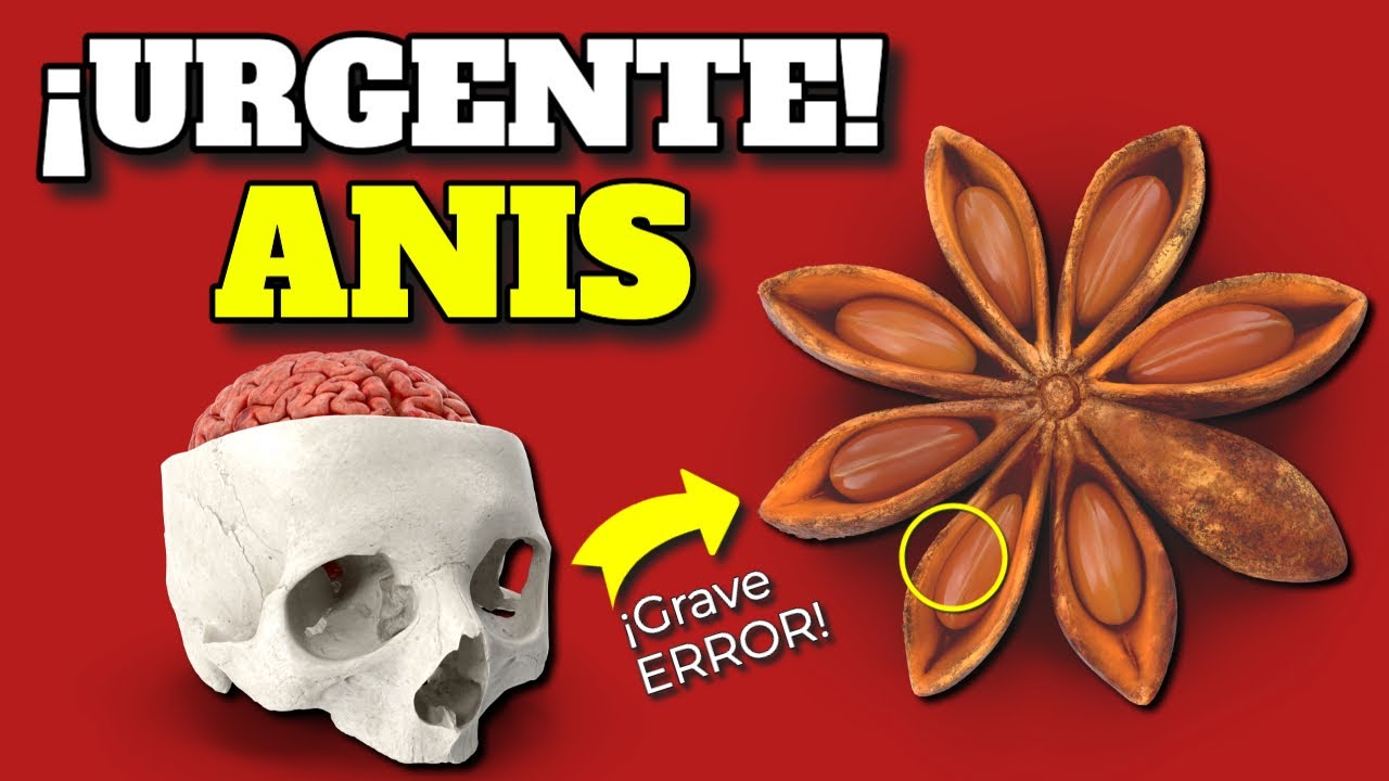 ¡PELIGRO!: ¡SI TOMAS ANIS, ES URGENTE que SEPAS ESTO!| ANIS ESTRELLADO ¿ES BUENO o ES VENENO