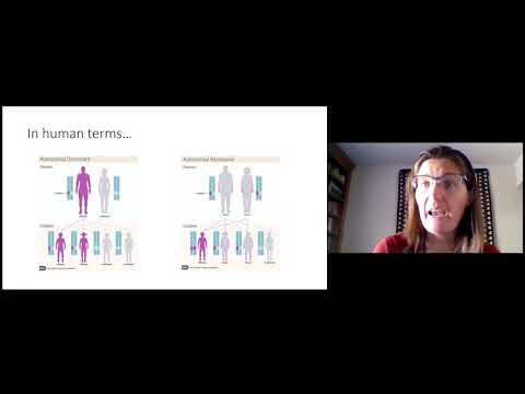 Virtual Summer Conference 2020: Genética para Principiantes by Dr. Christina Laukaitis | Spanish (ES)