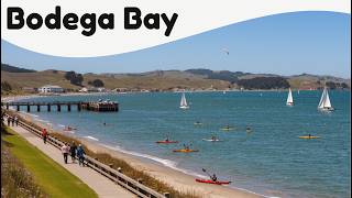 10 Best Things to Do in Bodega Bay