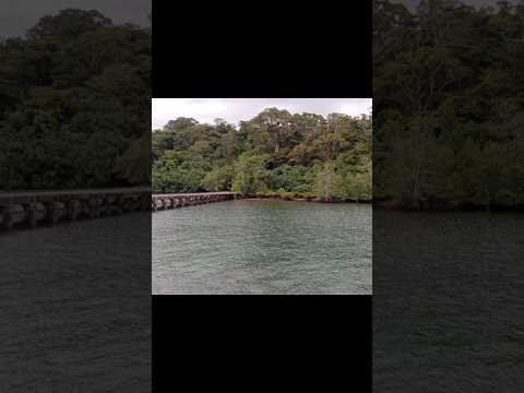 manjeri beach 😍 beautiful view❤️ #beach #view #beautiful #manjeri #andaman