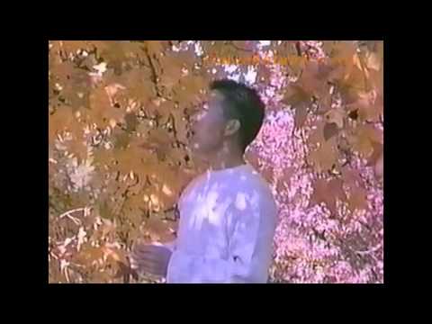 Choua Her - 11. Hlub Yuam Kev