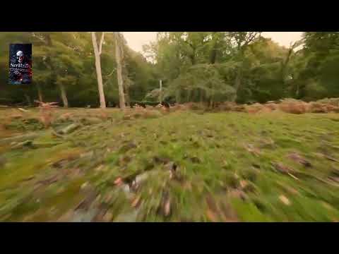 NEPASAUC,NEPIESAUC MANI VĒL (cover)