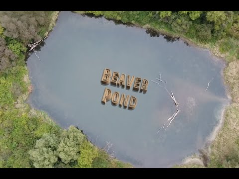 Pixel Film Studios Auto-Tracker: 3D Text with rotation, scale