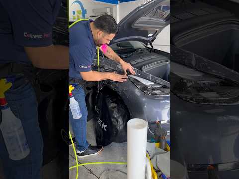 PPF on Tesla Model Y Fender #tesla #ppf #modely