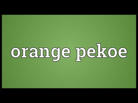 download lagu mp3 mp4 What Does Orange Pekoe Mean, download lagu What Does Orange Pekoe Mean gratis, unduh video klip What Does Orange Pekoe Mean