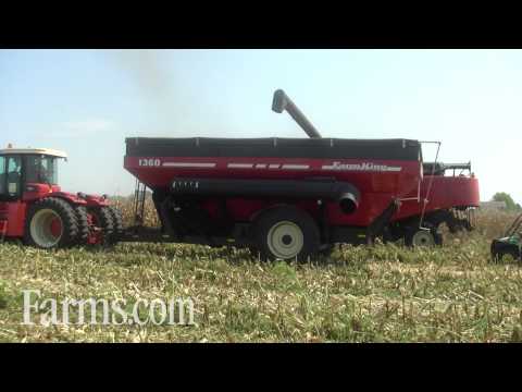 Farm Progress Show Corn Harvest Video Versatile Combine with Grain Cart  1360 Farm King Grain Cart