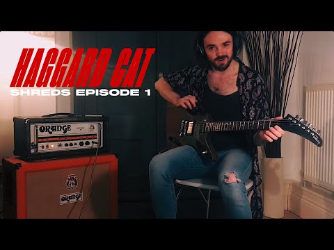 Haggard Cat - Shreds | Episode 1: First Words