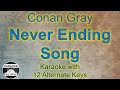 Conan Gray - Never Ending Song Karaoke Instrumental Lower Higher Female Original Key