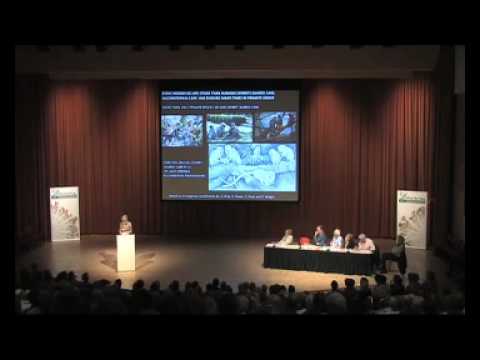 Sarah Hrdy, Health and society, Tue 7 July