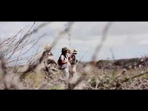 Da Ridlaz Ft Mason & Deyon - Kani Mi Pami Kani Bo