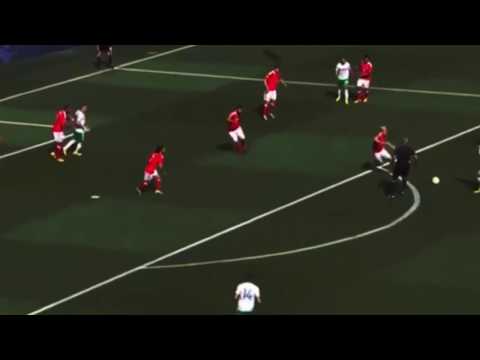 Wales 1-0 Northern Ireland - Euro 2016 - 25/06/16
