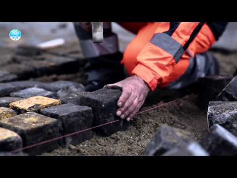 Spot Ogni Giorno Fratelli d'Italia - Alleanza Nazionale #alzalatesta #scelgogiorgia